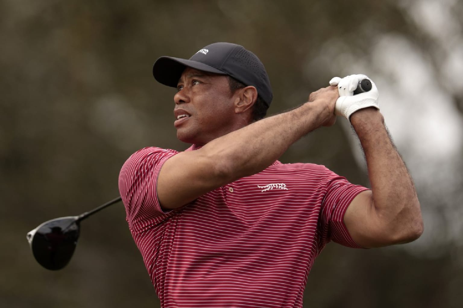 How Many PGA Championships Has Tiger Woods Won?